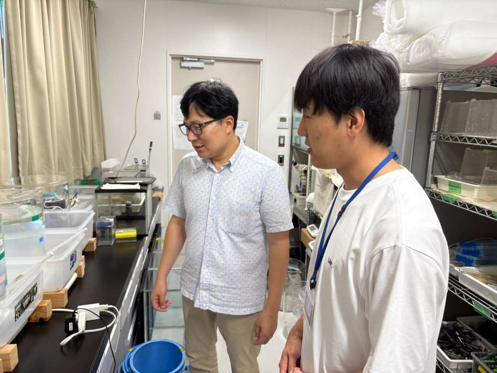 그림입니다.  원본 그림의 이름: CLP00001d240002.bmp  원본 그림의 크기: 가로 1440pixel, 세로 1080pixel