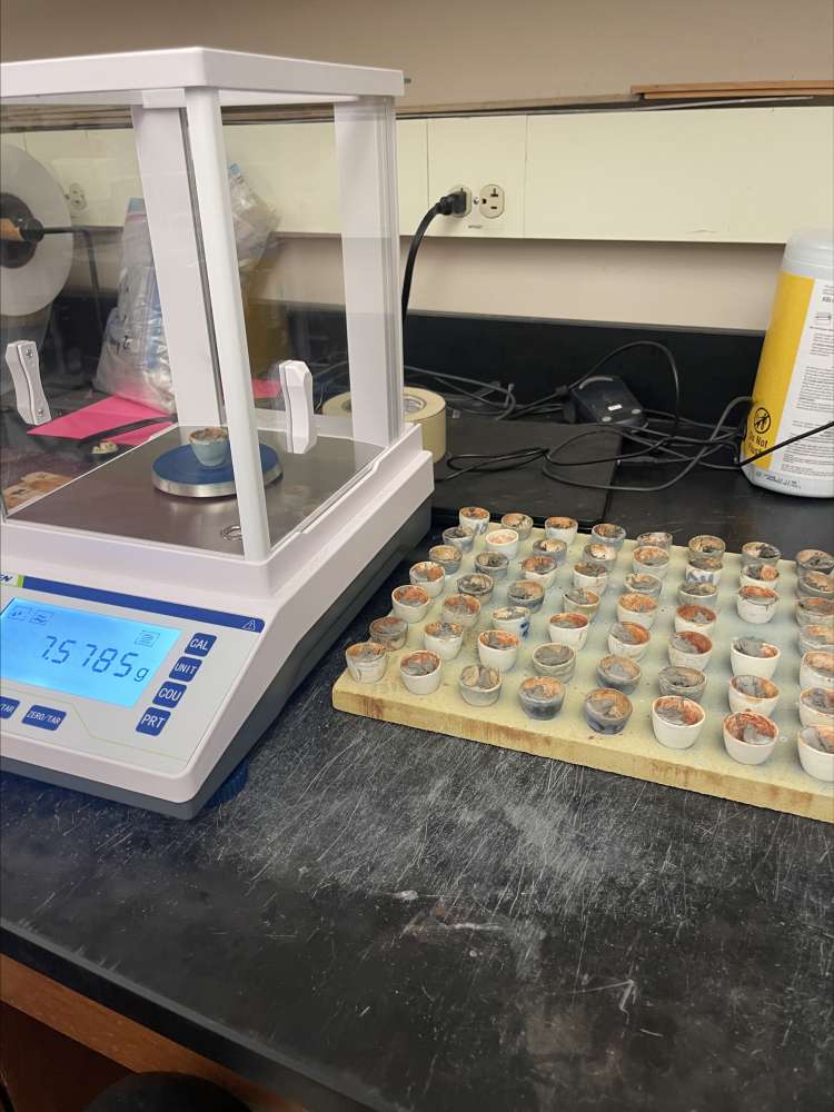 그림입니다.  원본 그림의 이름: CLP00000e600001.bmp  원본 그림의 크기: 가로 3024pixel, 세로 4032pixel