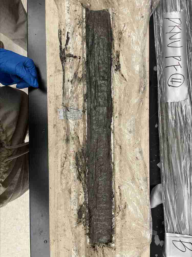 그림입니다.  원본 그림의 이름: CLP00000e600003.bmp  원본 그림의 크기: 가로 3024pixel, 세로 4032pixel