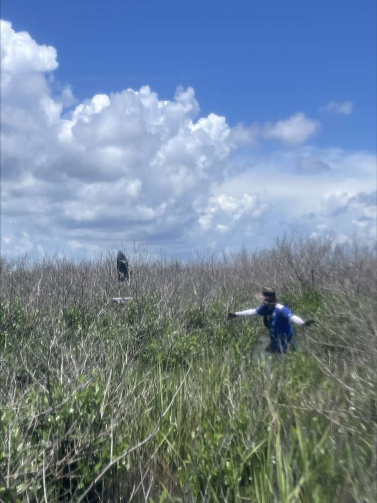 그림입니다.  원본 그림의 이름: CLP00000e600005.bmp  원본 그림의 크기: 가로 3024pixel, 세로 4032pixel