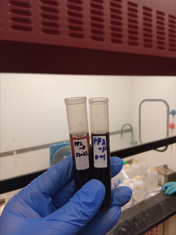 그림입니다.  원본 그림의 이름: CLP00000e60000d.bmp  원본 그림의 크기: 가로 3060pixel, 세로 4080pixel