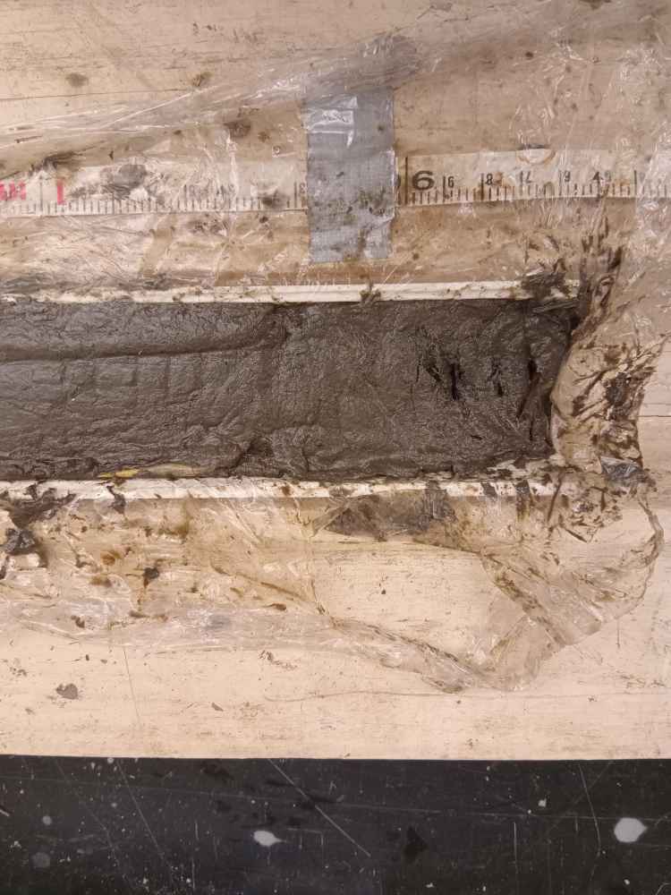 그림입니다.  원본 그림의 이름: CLP00000e60000e.bmp  원본 그림의 크기: 가로 3060pixel, 세로 4080pixel