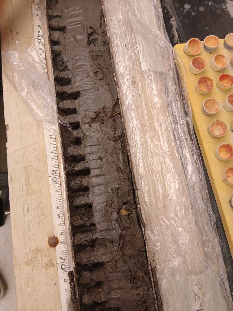 그림입니다.  원본 그림의 이름: CLP00000e60000f.bmp  원본 그림의 크기: 가로 3060pixel, 세로 4080pixel