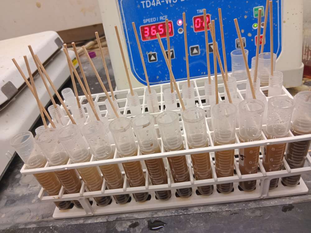 그림입니다.  원본 그림의 이름: CLP00000e600010.bmp  원본 그림의 크기: 가로 4080pixel, 세로 3060pixel