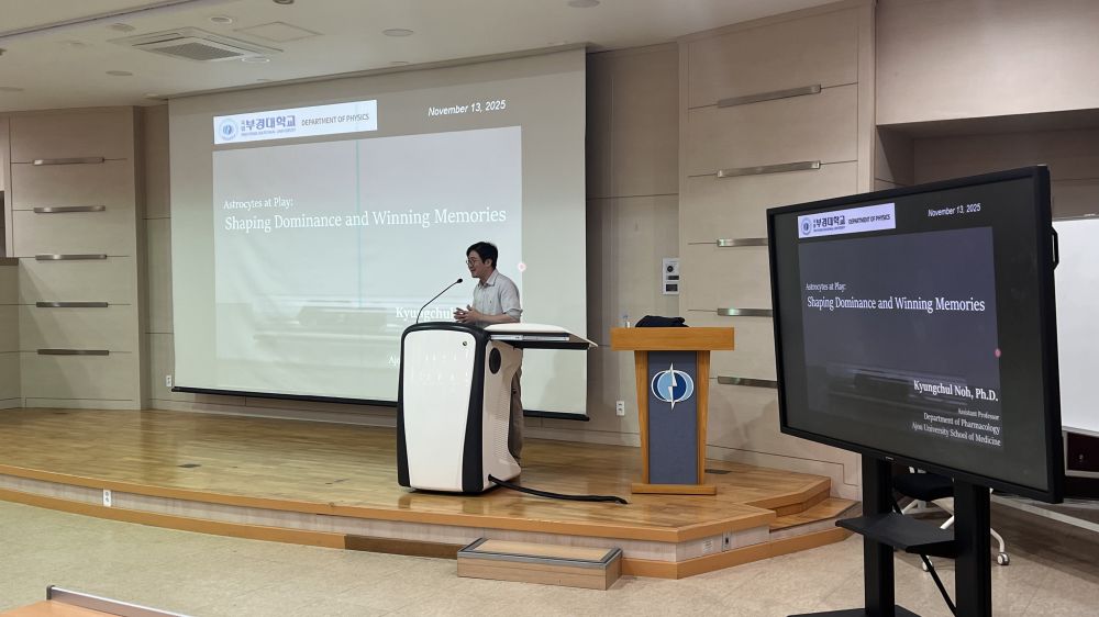 그림입니다.원본 그림의 이름: KakaoTalk_20251114_163546583_01.jpg원본 그림의 크기: 가로 4032pixel, 세로 2268pixel사진 찍은 날짜: 2025년 11월 13일 오후 5:02카메라 제조 업체 : Apple카메라 모델 : iPhone 13 Pro Max프로그램 이름 : 26.2F-스톱 : 1.5노출 시간 : 1/60초ISO 감도 : 64노출 모드 : 자동35mm 초점 거리 : 35