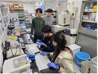 그림입니다.